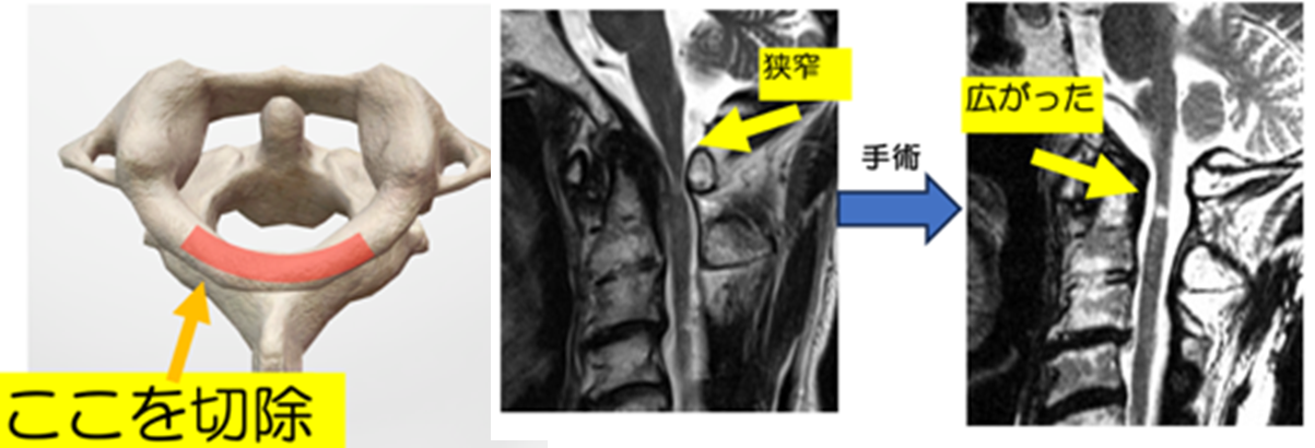 disease-01-8.png
