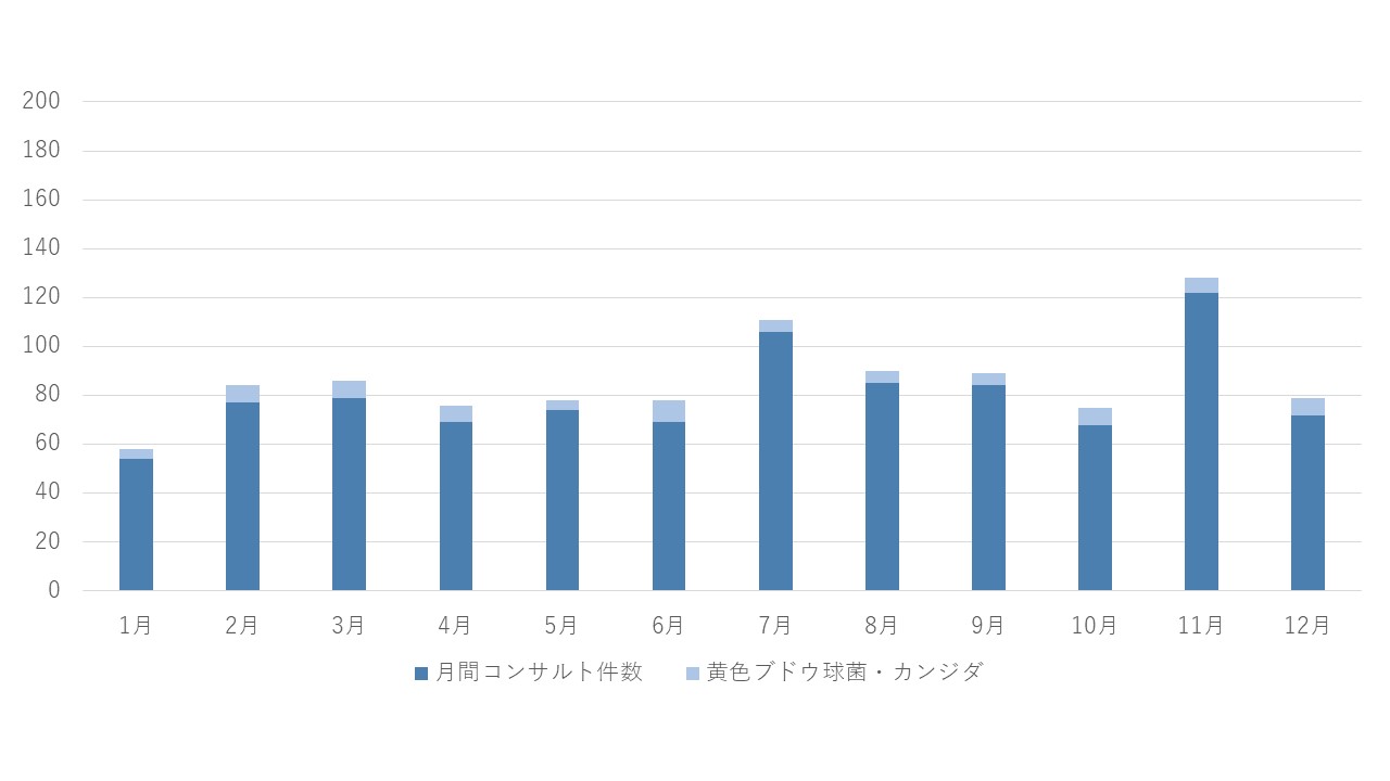 A14-AST業務内訳